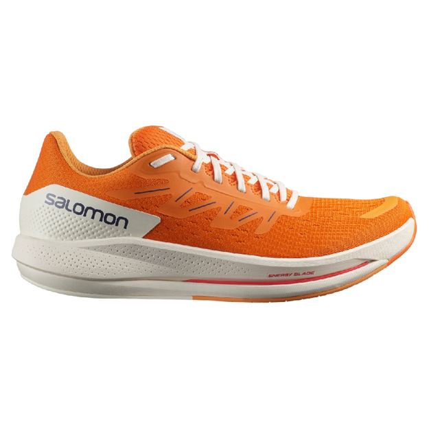 Picture of SALOMON -  SPECTUR